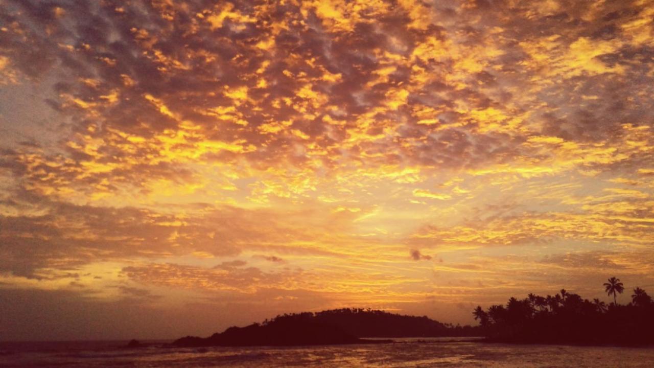 Turtle Reef Guest Bed & Breakfast Mirissa Bagian luar foto