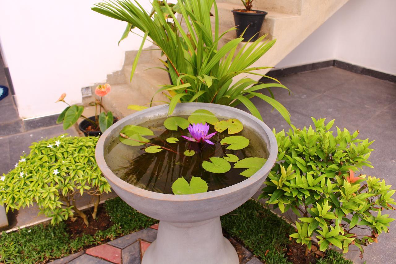 Turtle Reef Guest Bed & Breakfast Mirissa Bagian luar foto