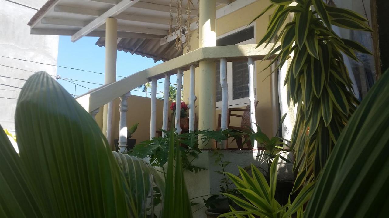 Turtle Reef Guest Bed & Breakfast Mirissa Bagian luar foto